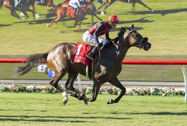 Crystal Water Entices Graded Stakes Winners