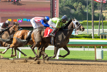 Smiling Shirlee Stepping Up to Oaks