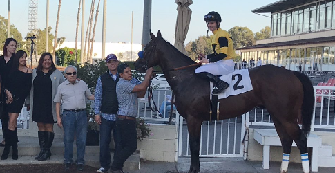 Galilean, Grinning Tiger Top Soi Phet Noms