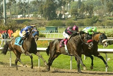 Lava Man to Lead Gold Cup Post Parade