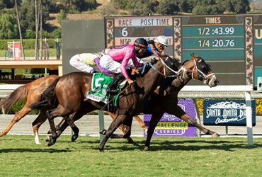 Cal-bred Trio in Runhappy Oceanside