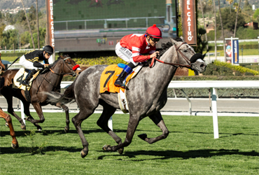 Streak of Luck Wins First Stakes