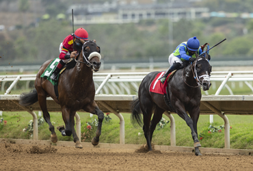 Positivity Steps Up to Los Alamitos Futurity