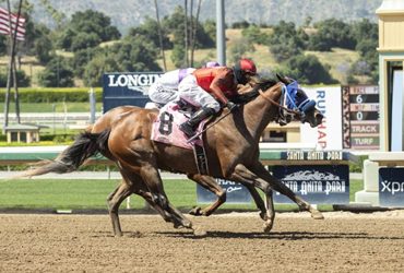 Big Sweep, Mucho Unusual in Solana Beach