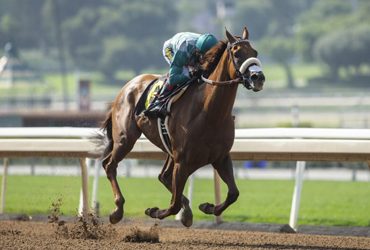 Desert Law Enters Santa Anita Sprint