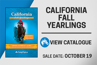 F-T Calif. Fall Yearlings Sale at Los Alamitos