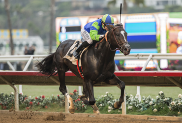 NorCal Sale Grad Meets Maximum Security