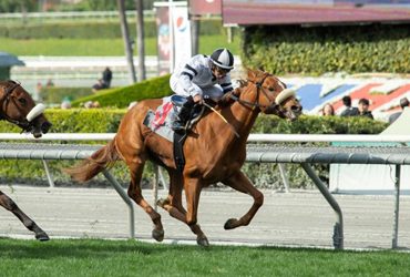 Cal-bred Quartet in Del Mar Derby