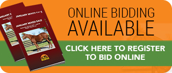 ONLINE BIDDING AVAILABLE