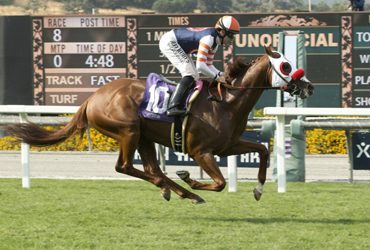 Cal-bred Quartet in Hollywood Turf Cup