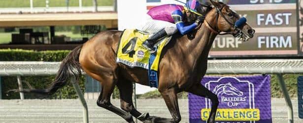 Mucho Unusual Enters Megahertz