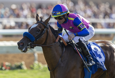 Mucho Unusual is Cal-bred Horse of the Year
