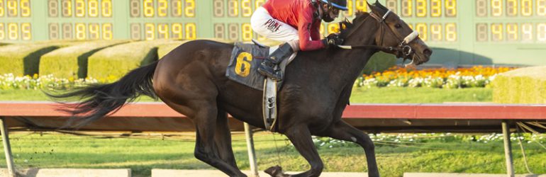 Cal-bred Stakes Winners in Providencia