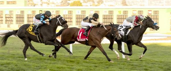 I’m So Anna Captures Campanile Stakes