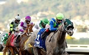 None Above the Law in Oceanside Stakes