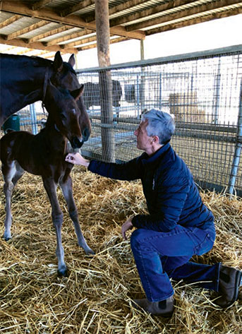 Ron Beegle with Majectic Harbor's foal