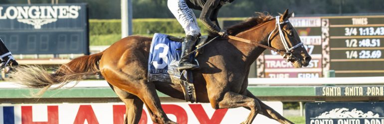 The Chosen Vron Surfaces at Turf Paradise