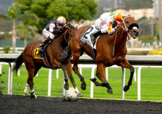 Camino Del Paraiso Wins Another Grace