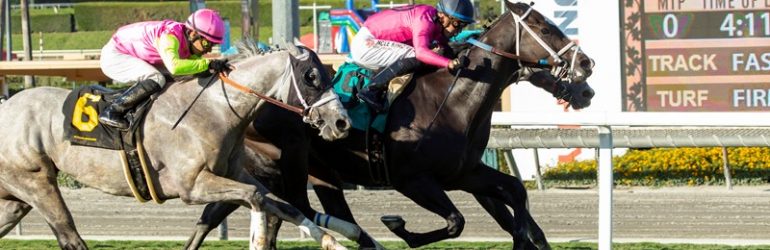 Indian Peak Seeks First Graded Victory