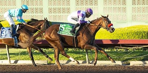 Cal-bred Slow Down Andy Wins Futurity