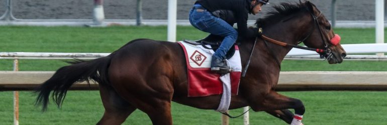 Cal Cup Derby a Springboard for Straight Up G?