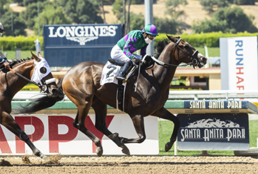 Tiger Dad in Turf Paradise Turf Stakes