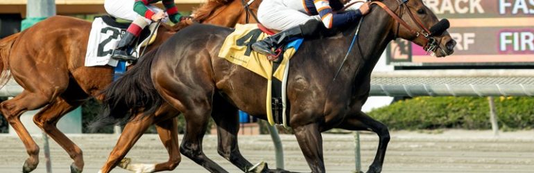 Alice Marble Aces Wishing Well Stakes