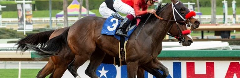 Fast Draw Munnings Enters Affirmed Stakes
