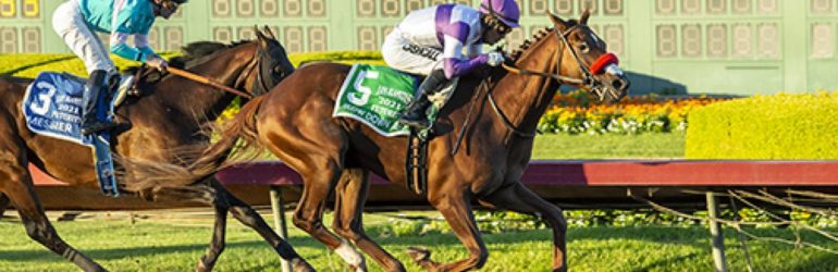 Del Mar Derby Next for Slow Down Andy