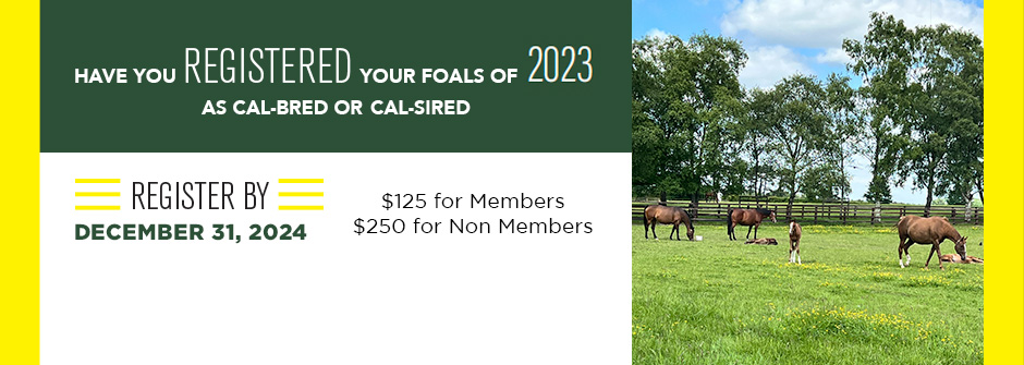 Cal-Bred/Sired Registration Reminder