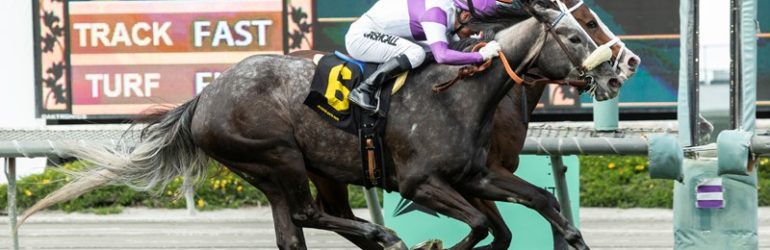 Eddie’s New Dream is the John Mabee Stakes
