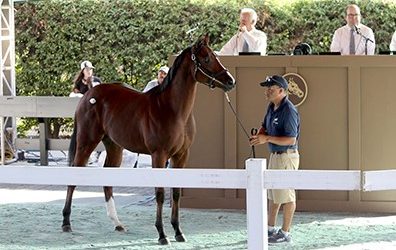 Cal-bred Mr. Big Filly Tops Fasig-Tipton Sale