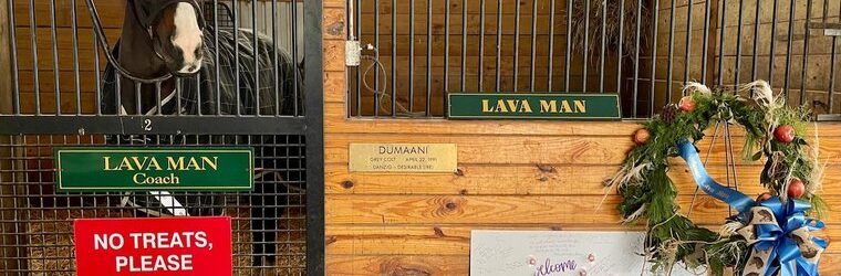 Lava Man Adapts to Life at Old Friends