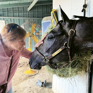 Pageler spends a quiet, personal moment with the star of her stable, Fun to Dream