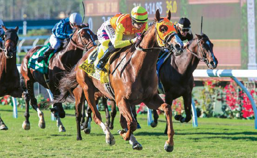 Texas Ryano, now a California stallion, won the 2016 Hollywood Turf Cup for Gaines 