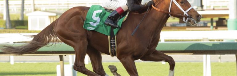 The Chosen Vron Seeks 10th Stakes Win