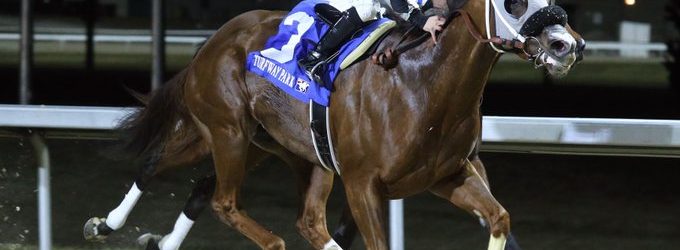 NorCal Sale Grad Tries Another Turfway Stake