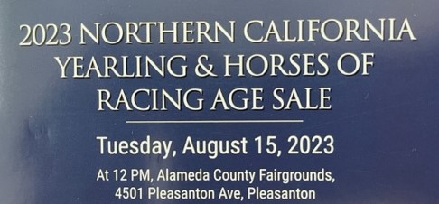 Northern California Yearling Sale Outs