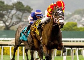 NorCal Sale Grad Seeks Another Stake