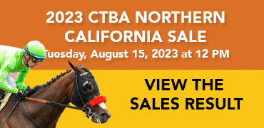 Northern California Yearling Sale Results