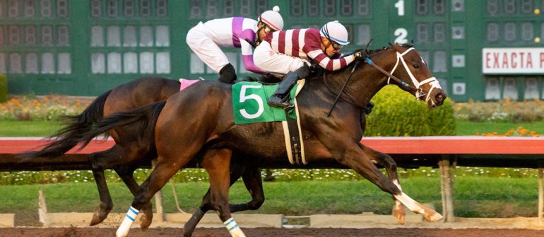 Race for 3-Year-Old Title Could Go Down to the Wire - BloodHorse