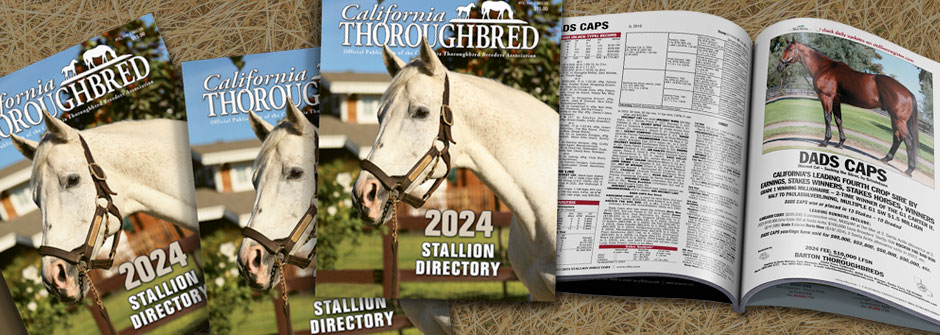 California Thoroughbred Stallion Directory 2019 by CTBA - Issuu