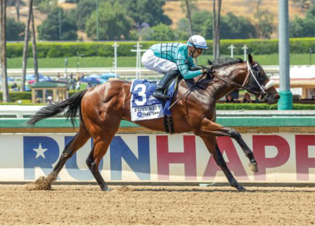 A dark brown horse races with a jockey in teal