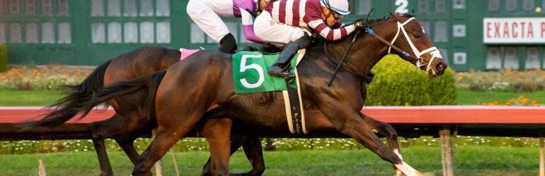 Last Call London in Turf Paradise Derby