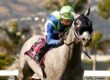 Cal-bred None Above the Law in Californian