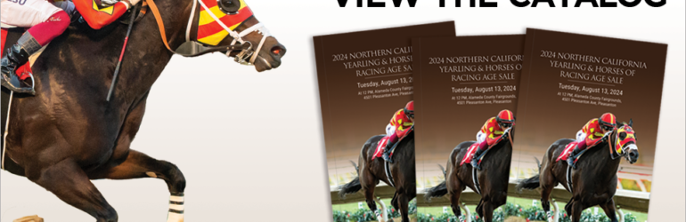 Northern California Sale Catalog Now Online