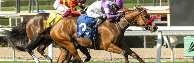 Stay and Scam in Fran’s Valentine Stakes