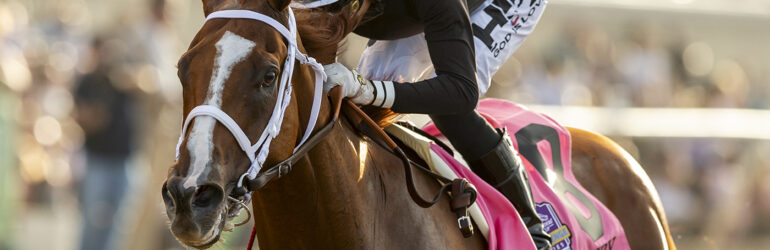 The Chosen Vron Preps for BC Sprint