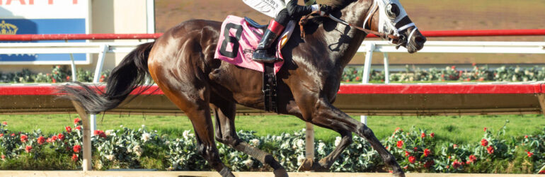 Cal-bred Trio Enters Rancho Bernardo