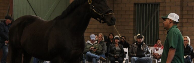 Rancho San Miguel Open House Nov. 16